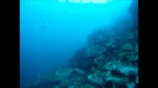Diving at Gordon Rock Galapagos