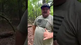 Got a hog hunting spot set up on our lease ! #outdoors #hunting #life  #foodshorts