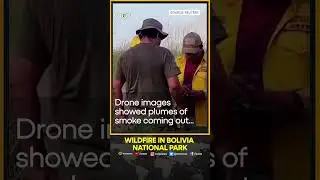 Wildfire consumes over 4,000 hectares in Bolivia national park