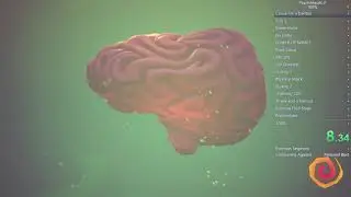 Psychonatus 2 100% Speedrun (3:55:28 w/out loads) - Ninjin42