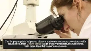 Video puts Crown Trade&rsquo;s historic and classic shades in the picture