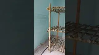room structure for mushroom