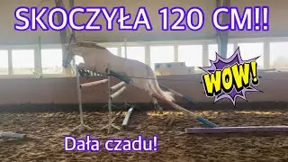 CREMONA SKOCZYŁA 120 CM! / POPISAŁA SIĘ🤩