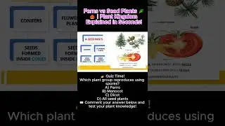 Ferns vs Seed Plants 🌿🌰 | Plant Kingdom Explained in Seconds!
