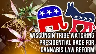 Wisconsin tribe watching presidential race for cannabis law reform as state maintains prohibition