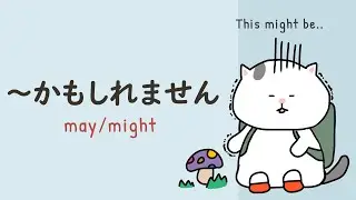 〜かもしれません (kamoshiremasen)🐱 May/Might/Probably/Perhaps in Japanese