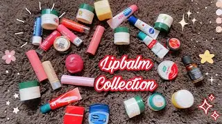 LipBalm Collection,Affordable Indian Lipbalm,lipbalm Under 200₹, lipcare routine