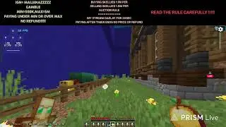 DONUTSMP LIVE🔴RATING BASES 100K-50M🔴GAMBLING,AUCTION++🔴