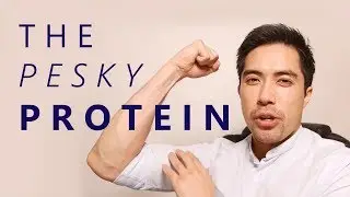 Myostatin   The Unwanted Protein