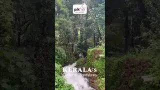 Kerala&rsquo;s Cultural Treasures | Kochi (Cochin) | Munnar | Thekkady | Kerala | India
