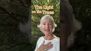 When Trees Come Alive #sunlight #trees #magical #stillness #shorts #mindfulness #wisdom #beauty