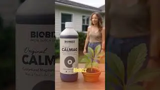 Biobizz &ndash; Calmag