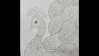 Arteza Coloring Books for Adults, 2 Pack, Animal & Doodle Designs, Grey Outlines, 144 Sheets  Review