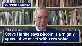 Steve Hanke reiterates his view that bitcoin is a 'highly speculative asset with zero value'