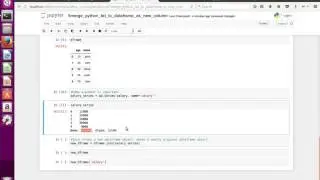 Pandas How to Merge Python List to DataFrame as new Column