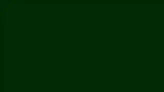 Very deep yellow-green color #002800 HD Очень глубокий желто-зеленый цвет