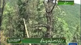 Dunya News | Meri Dunya | 8 May 2015