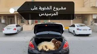 مشروع الشتوية على المرسيدس
