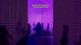 Seekway Innovations's 3D Volumetric LED Display Lighting