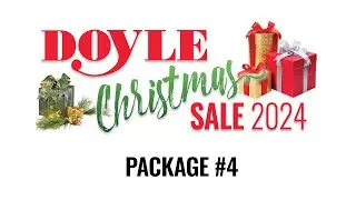 Christmas Sale 2024 Package 4 - Dec. 24th