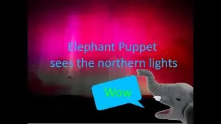 Elephant Puppet sees the northern lights 