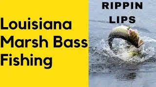 BASS Fishing in the Marsh!! Louisiana MARSH Bass Fishing, Rippin Lips