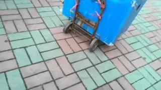 마지막잎세안돼
