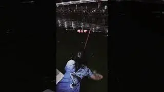 mancing cantik 🎣🌹 #fishing #mancingmantap #mancinglele #mancing #mancingceria #mancingmania