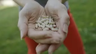 Seed Savers Exchange