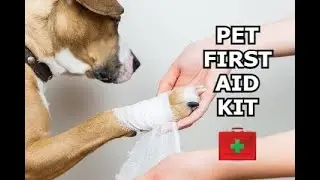 Pet First Aid Kit