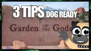 Your dog and Garden of the Gods: 3 tips to preparing for sights and adventure.