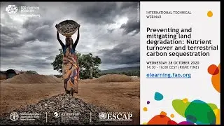 Preventing and Mitigating Land Degradation:  Nutrient Turnover and Terrestrial Carbon Sequestration