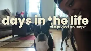 days in the life of a project manager in nyc | Q3 wrap up part 1