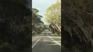 😍😍#australia #adelaide #nature