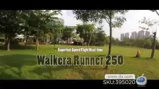 Walkera Runner 250 5-CH Superfast Speed Flight R/C Airplane -- DX.COM