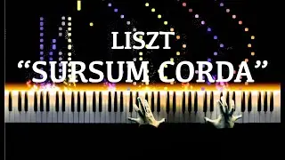 Liszt - 