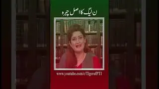 Real face of PMLN #pti #imrankhanpti #imrankhan #trending #pdmexposed #youtube #youtuber
