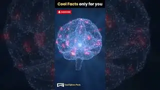 &ldquo;Stomach Acid Facts That Will Shock You 😳🔥 | Human Body Facts in Hindi&rdquo; #shorts
