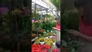 CHỢ HOA C&Acirc;Y CẢNH S&Agrave;I G&Ograve;N CUỐI NĂM CHUẨN BỊ Đ&Oacute;N TẾT 2026 BẮT ĐẦU NHỘN NHỊP ĐẸP QU&Aacute; ❤
