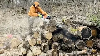 Рубка дров сверху вниз