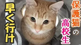保護猫の高校生。娘を迎えて帰ってきたら…「えー！」