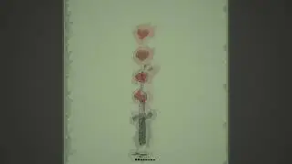 [FREE] Hurricane Wisdom x No Cap Type Beat- 