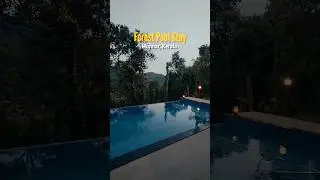 Best tree houses in Munnar | Munnar forest resorts | Munnar pool resorts | Tree house in Kerala
