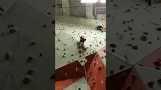 2017 BMC Youth Climbing Series
