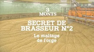 3 MONTS | Secret de Brasseur 2️⃣ Le Maltage