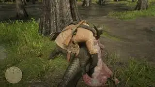 RDR 2: Exotics Prep - Egrets, Herons and Spoonbills collected in advance 04