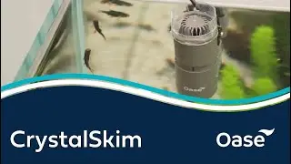 Keep Your Aquarium Surface Crystal Clear with OASE CrystalSkim