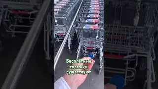 Бесплатно для всех. #shorts #путешествия #travel #supermarket #lidl #сербия #обзор