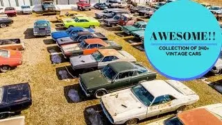 [AWESOME!!!] Collection of 340+ Vintage Cars Up For Grabs in Canada