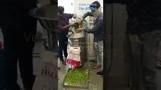 Green Chilly Cutting Machine  Pickle-Chilly-carrot-Mango Vishvakarma Techno steel Equipm 9998528142